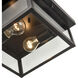 Evanton 2 Light 12 inch Powder Coated Bronze Outdoor Flushmount